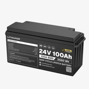 24v 100ah lifepo4 battery
